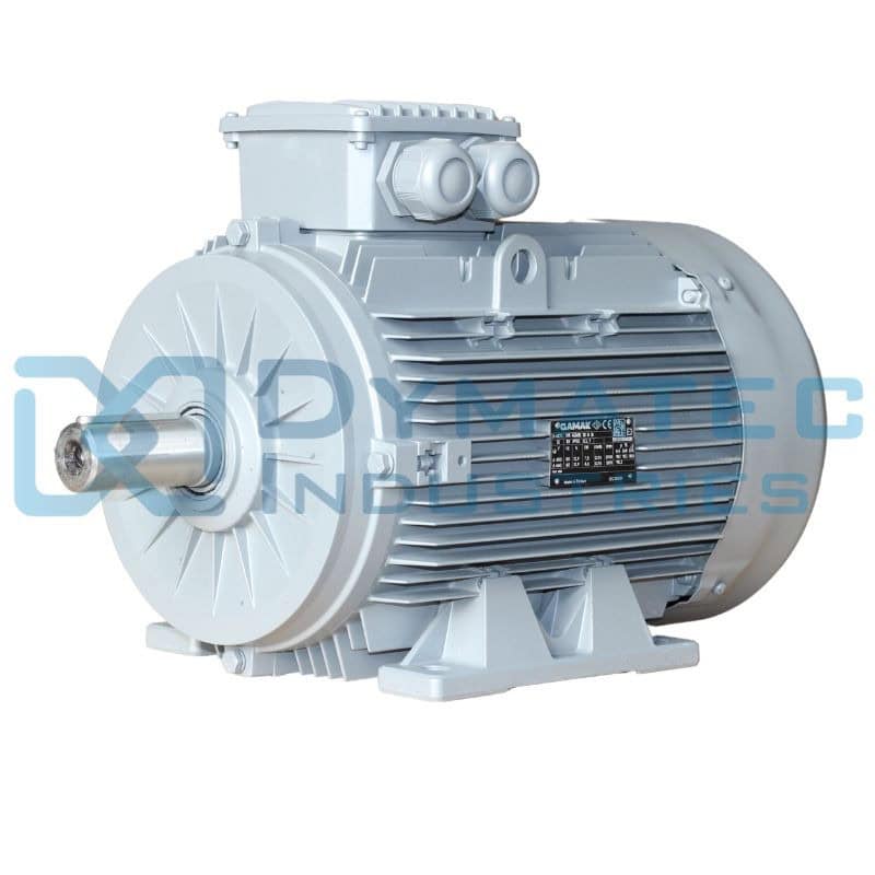 Moteur électrique 450 kw - 750 Tr/min - 400/690V - IE3 - Fonte
